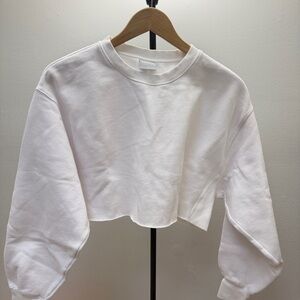 Aritzia Cropped Sweatshirt